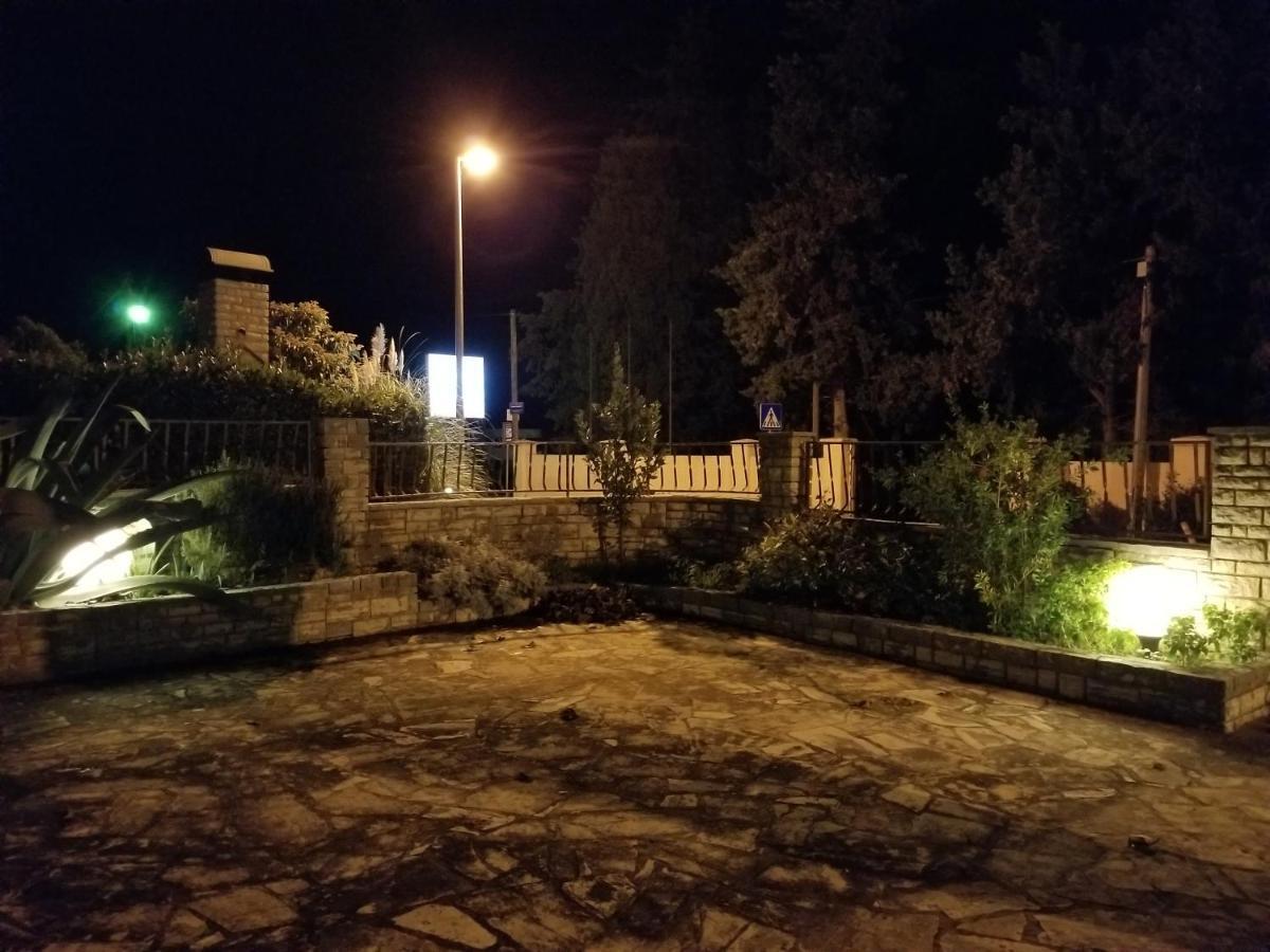 Danyja Apartments Sveti Filip i Jakov Dış mekan fotoğraf